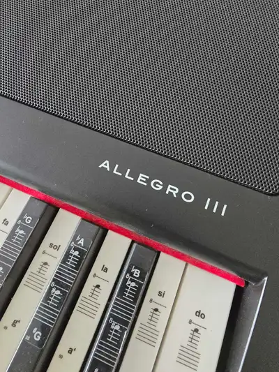 Allegro III 88 weighted-key digital piano - black, View more