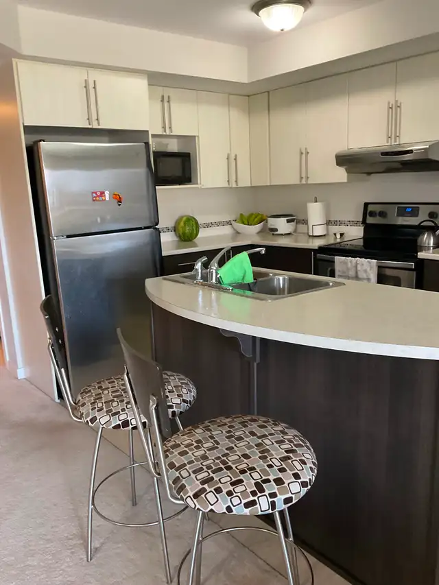 Room for Rent in Room Rentals & Roommates in Ottawa - Image 6