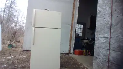 older refigerator good working condition almond color frigidaire brand can do curb side elivery for...