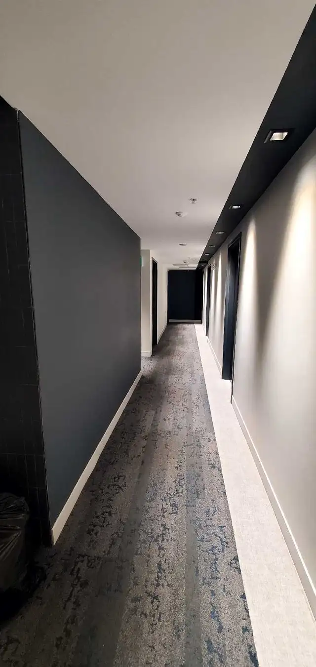 Looking For A Reliable Painter?562901699989360642