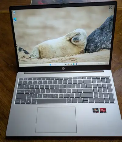 HP Laptop 15 Ryzen 5 7520U 16GB DDR5, View more