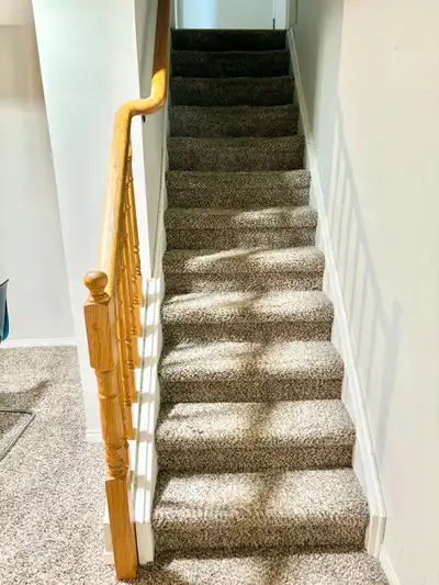 One bedroom and huge living room basement in WHITBY SHORES