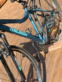 Raleigh Route Bike