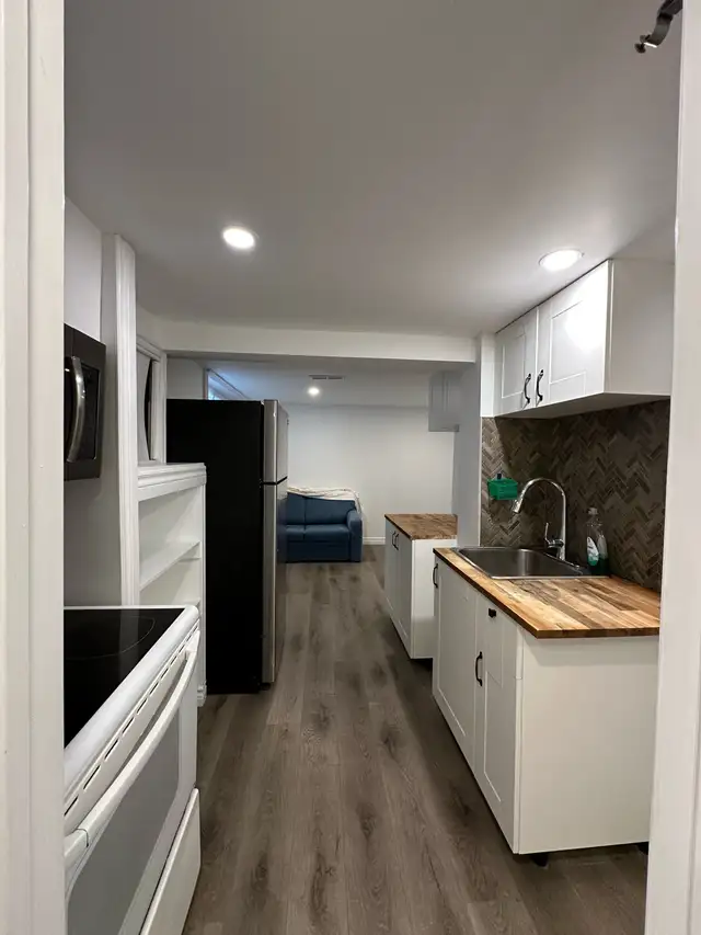 basement apartment bachelor, separate entrance, kitchen, bathroo