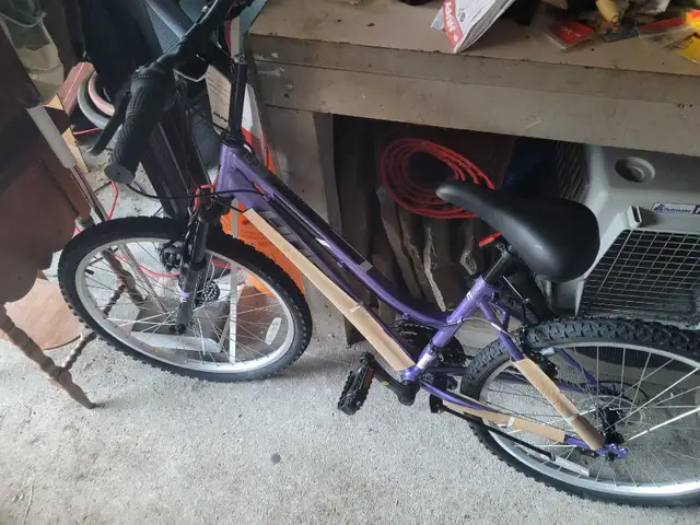 girls mountain bike