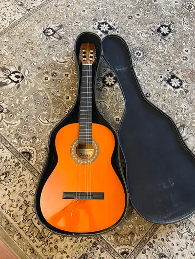 Guitar in case, View more