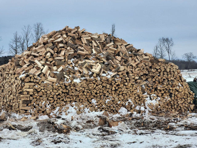Hardwood Firewood Ready to Burn in Other in Napanee - Image 4