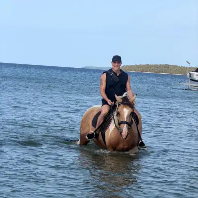 more than just a trail horse , View more