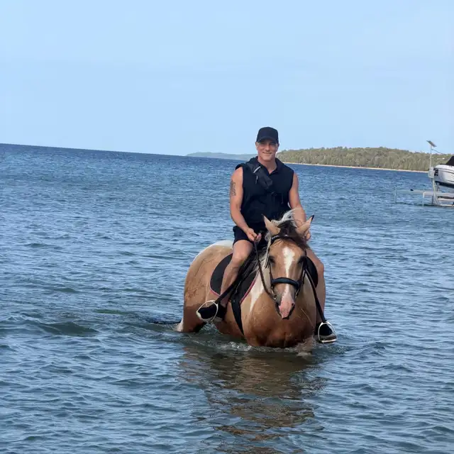 more than just a trail horse in Horses & Ponies for Rehoming in Owen Sound - Image 2