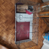 Rabbit or Small animal cage