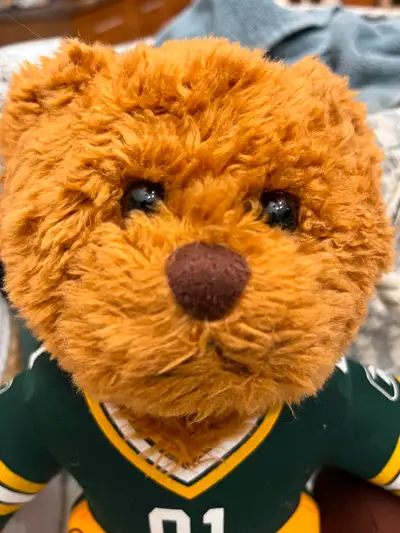 Collectable PACKERS Teddy Bear with Helmet & Football, View more