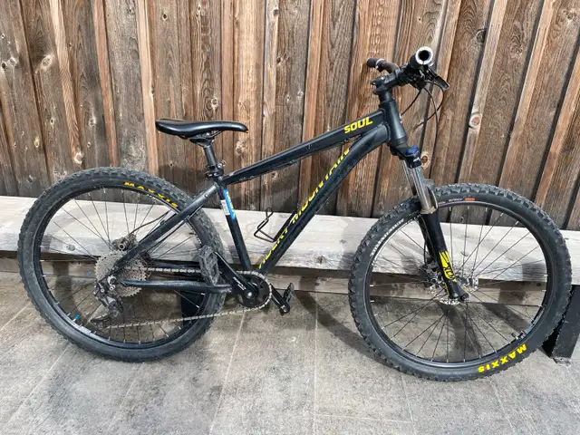 Rocky Mountain Soul 710 in Mountain in Medicine Hat - Image 2