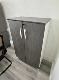 Slick grey Office Storage Cabinet - With Lockable Wooden Doors
