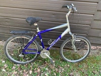 Specialized Expedition Bike - size large