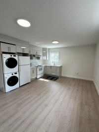 1 Bedroom Basement Suite: Fully Renovated with Laundry