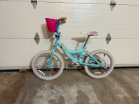 FREE Kids Bicycle – 18” Wheels (Ages 6–8)