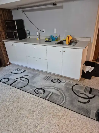 1 bedroom basement apartment