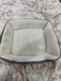 Bed for any size cats or dogs