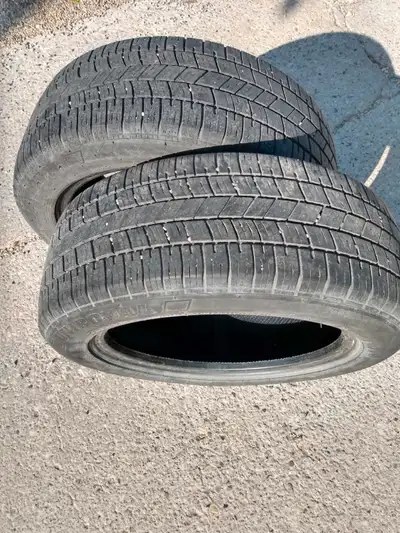 Tiger paw tires205/55/16