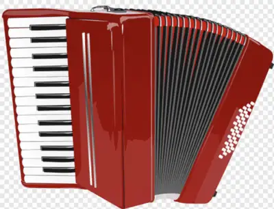   I buy Accordions  , View more
