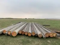 Cedar poles