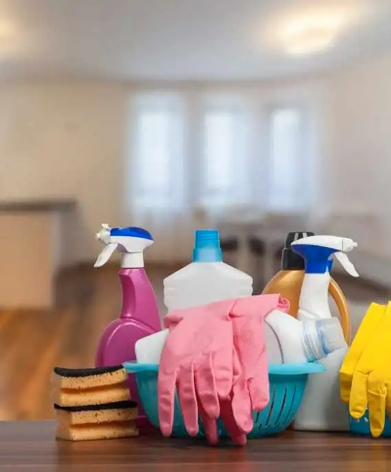 cleaning lady in Whitby area63804706769537120