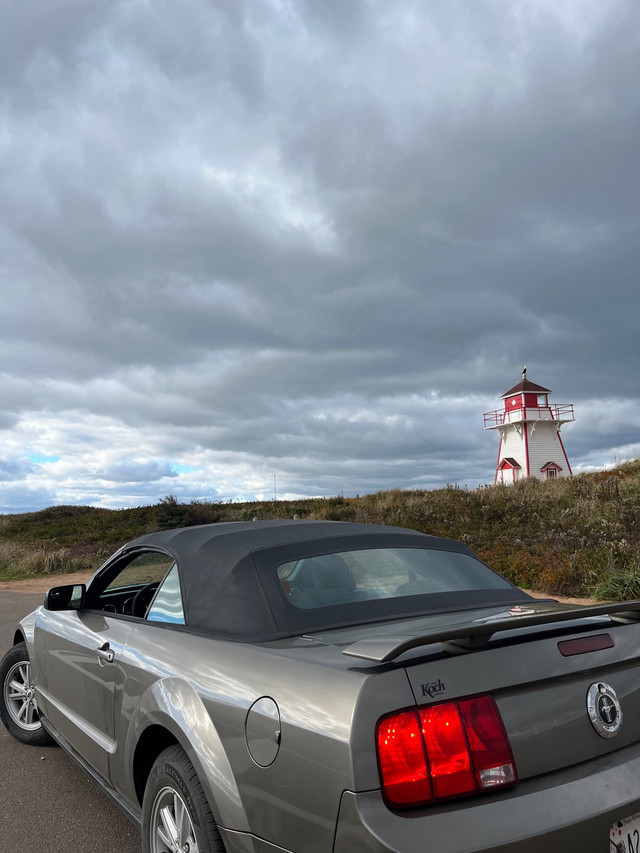 Ford Mustang  in Cars & Trucks in Charlottetown - Image 2