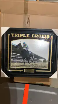 Triple crown print 