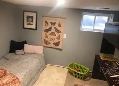 Female Roommate Wanted
