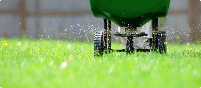 Lawn Aerating in Lawn, Tree Maintenance & Eavestrough in Kitchener / Waterloo - Image 2