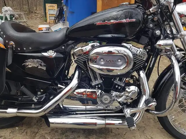 2004 harley davidson sportster in Street, Cruisers & Choppers in Muskoka - Image 5