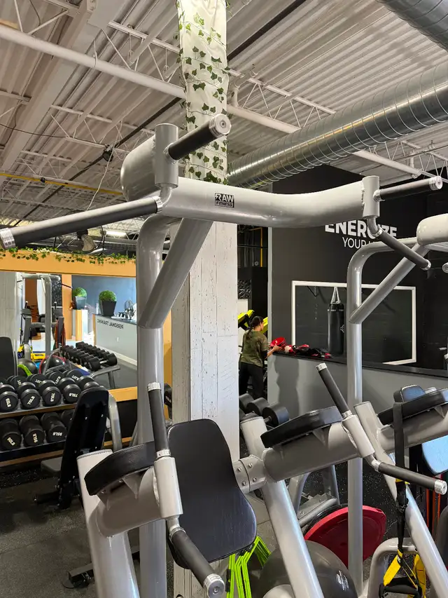 Commercial Leg raise station | Exercise Equipment | Mississauga / Peel ...