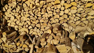 bois de chauffage sec melangé sur livraison seulement, View more