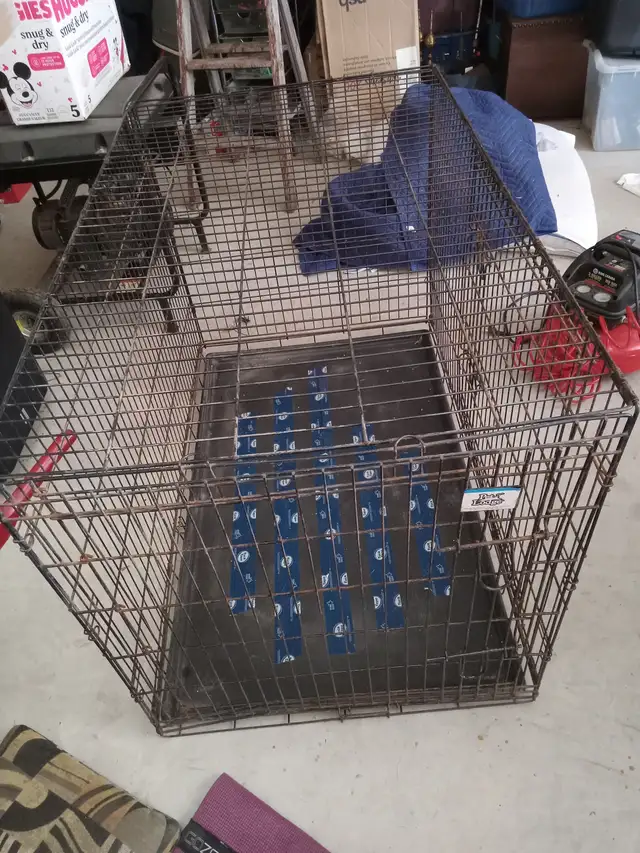 Pet Lodge Double Door Dog Crate  Extra Large  Metal Black in Accessories in Owen Sound - Image 2