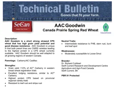 AAC Goodwin CPS wheat seed - Certified Seed, View more