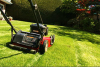  Able Lawncare & Yard Work
