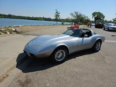 1978 25th Anniversary Edition Corvette for sale. Showroom Condition. Just over 60000 km on 383 Strok...
