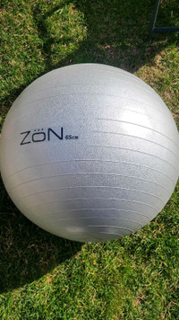 ZoN Exercise Ball (65cm) 