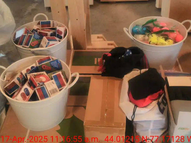 Cornhole boards, Ladder ball and Washer toss games. in Toys & Games in Belleville - Image 9