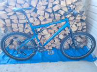XL jamis mountain bike