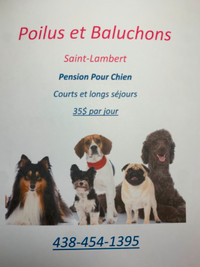 Poilus Et Baluchons - Pension Pour Chien - Saint-Lambert