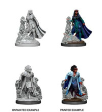 D&D Nolzur's Marvelous Miniatures: Wave 12:Tiefling Sorcerer New