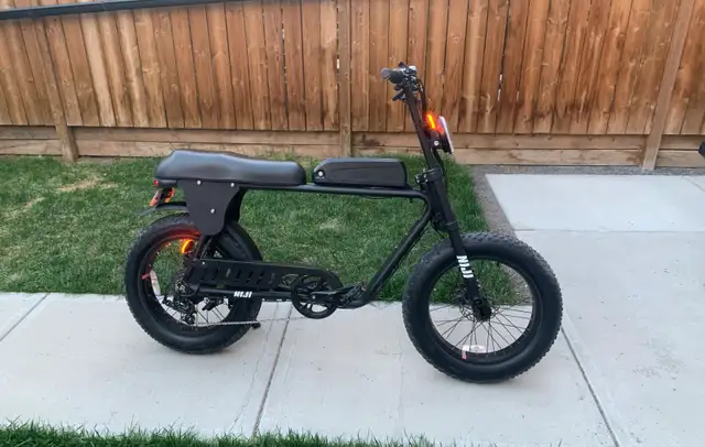 Moped Style E Bike62863274461442124
