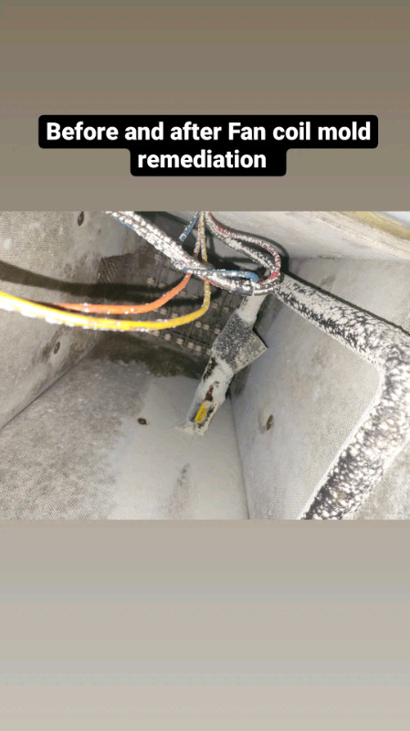 Mold & Asbestos removal in Renovations, General Contracting & Handyman in Cambridge - Image 4