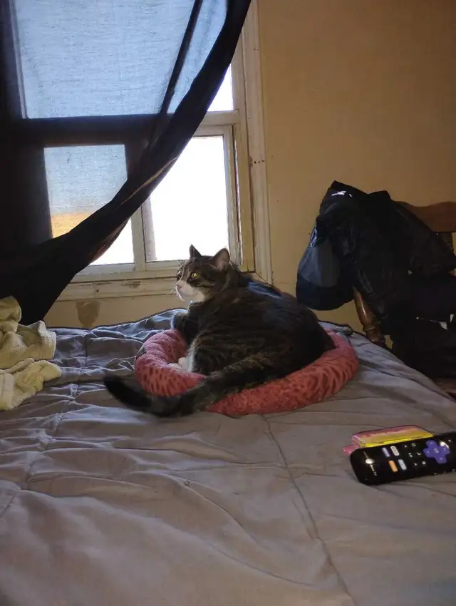 need help 64960016961282120