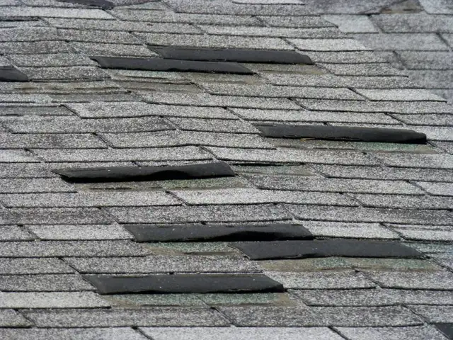 ROOF REPAIR TOITURE RÉPARATION MEGA DISCOUNT EMERGENCY WATER LEAK62864741155457121