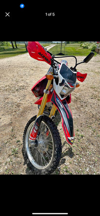 Blueplated CRF250L