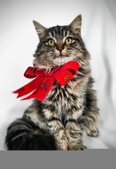 Sammy Et Lenny prêts  à partir, View more