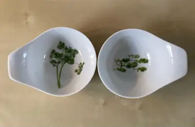 2 Porcelain Herb Motif Food Prep Pouring Bowls from STOKES, View more