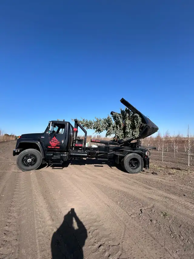 tree sales and moving62863246117249121